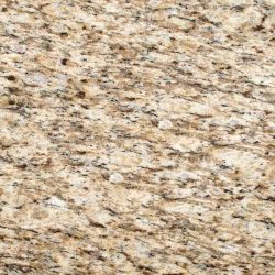 Giallo Ornamental